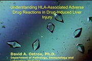 Image For Activity Cover