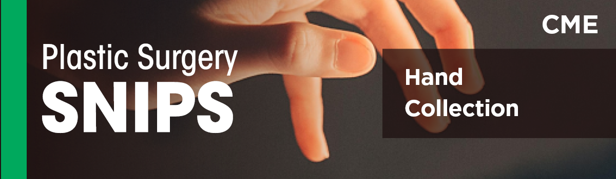 Hand Collection | SNIPS Image