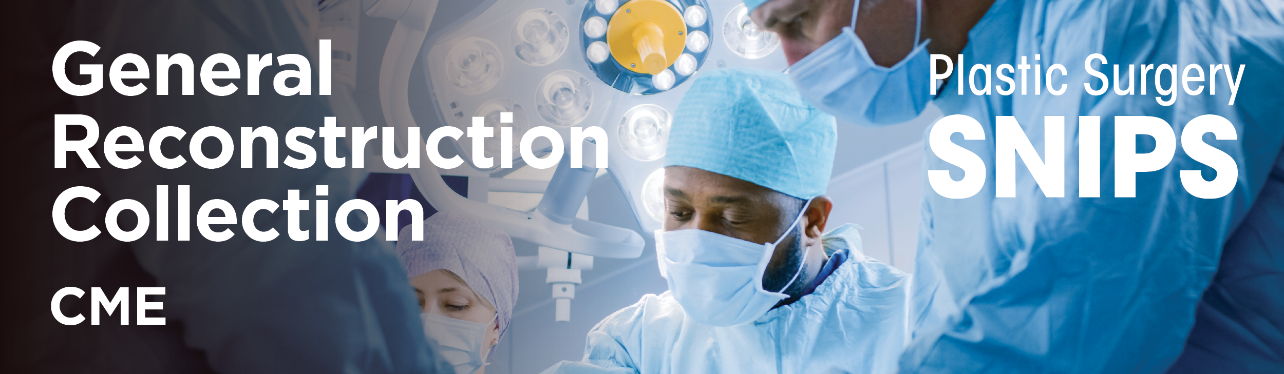 General Reconstruction Collection | SNIPS